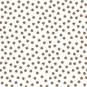 Bella Blvd - Campout - Clear Cuts Transparency - Bear Tracks Bella Blvd - Campout - Clear Cuts Transparency - Bear Tracks