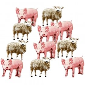 Eyelet Outlet - Pig & Sheep Brads Eyelet Outlet - Pig & Sheep Brads