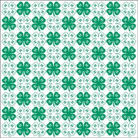 It Takes Two - 4-H Clover Scatter Paper It Takes Two - 4-H Clover Scatter Paper