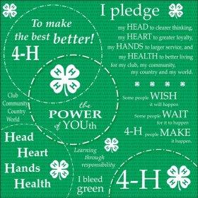 It Takes Two - 4-H Circles Paper It Takes Two - 4-H Circles Paper