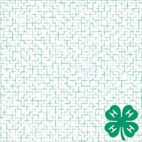 It Takes Two - 4-H White Maze Paper It Takes Two - 4-H White Maze Paper