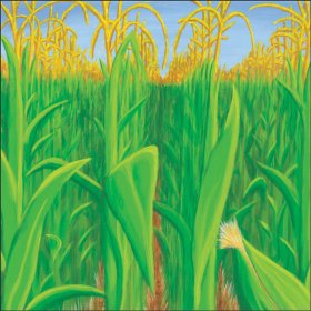 It Takes Two - Corn Field Paper It Takes Two - Corn Field Paper
