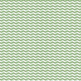 Karen Foster - On the Green Paper Karen Foster - On the Green Paper