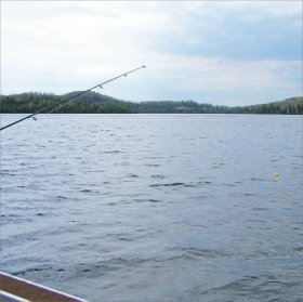 McRice - Pole and Bobber Paper McRice - Pole and Bobber Paper