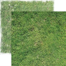 Paper House Productions - Grass Paper Paper House Productions - Grass Paper
