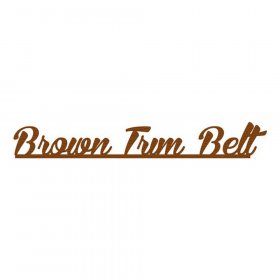 RBS - Brown Trim Belt Title RBS - Brown Trim Belt Title