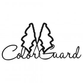RBS - Color Guard Cursive Title RBS - Color Guard Cursive Title