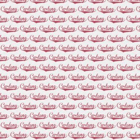 Scrappin' Stuff - Curling Tail Paper Scrappin' Stuff - Curling Tail Paper